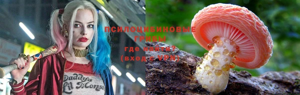 a pvp Алексин