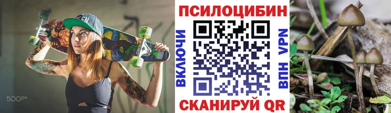 Псилоцибиновые грибы GOLDEN TEACHER  блэк спрут   Урюпинск  купить наркотики цена 